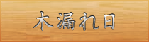 木漏れ日